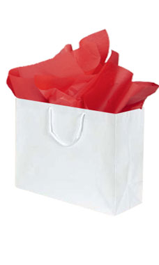 What size are these bags? Sku90513