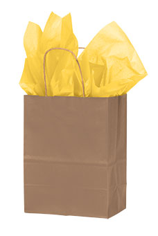 Can we customize this paper bag? What is the price for 100 paper bags like this one?
