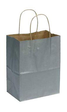 Medium Metallic Silver Paper Shopping Bags - Case of 100 Questions & Answers