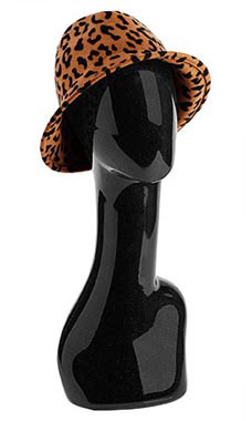 Does the head have ears  i.e. to display glasses?